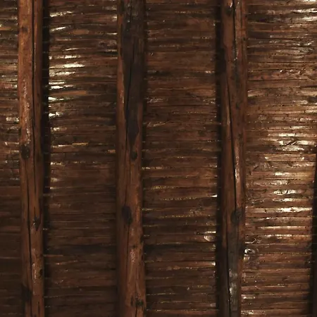 San Lorenzo's Bed and Breakfast Νάπολη