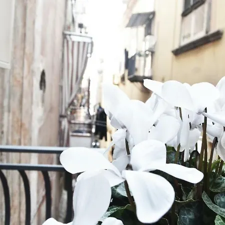 San Lorenzo's Bed and Breakfast 3*