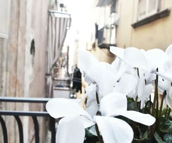 San Lorenzo's לינה וארוחת בוקר 3*